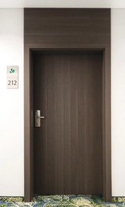 Drzwi ppoż drewniane z panelami